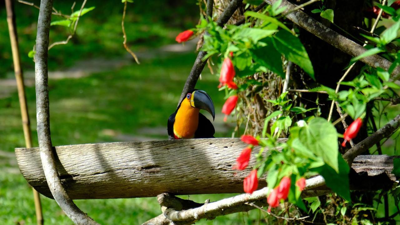 Pousada Salve Floresta Tapiraí Zewnętrze zdjęcie