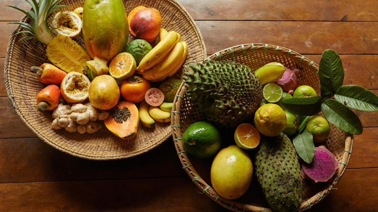 Pousada Salve Floresta Tapiraí Zewnętrze zdjęcie