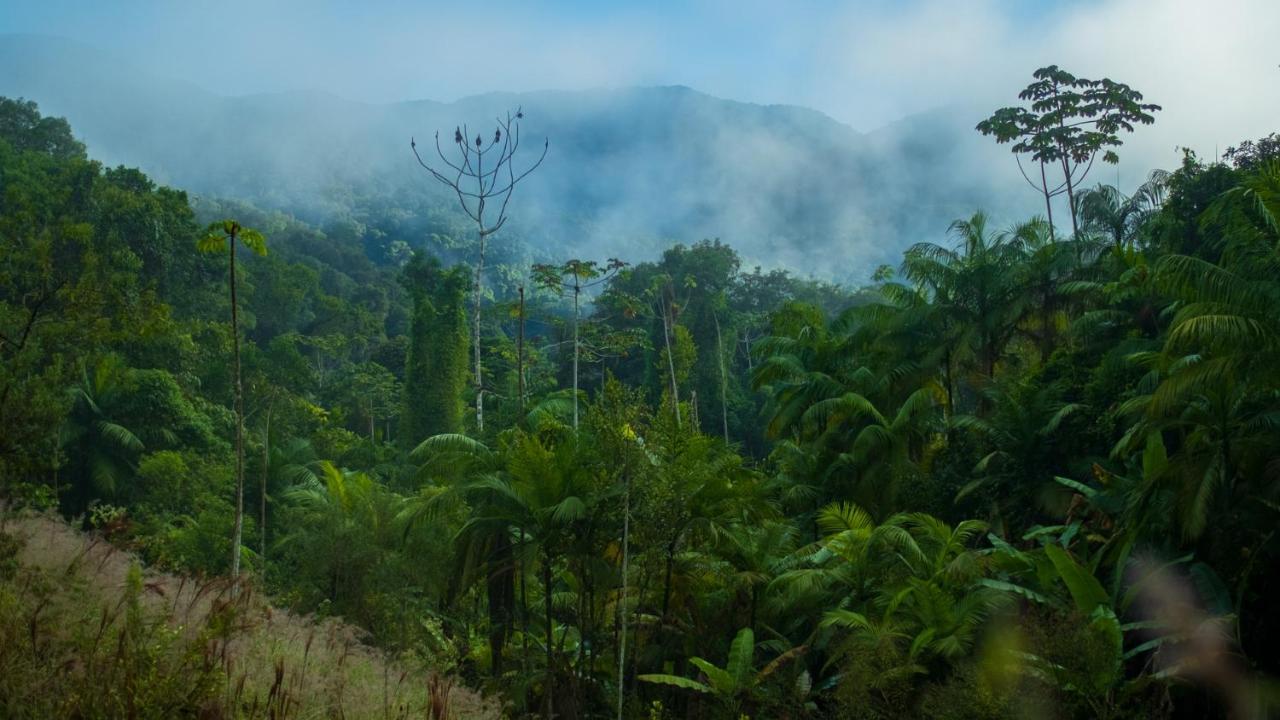 Pousada Salve Floresta Tapiraí Zewnętrze zdjęcie