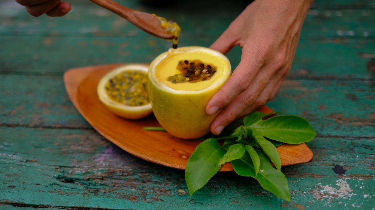 Pousada Salve Floresta Tapiraí Zewnętrze zdjęcie