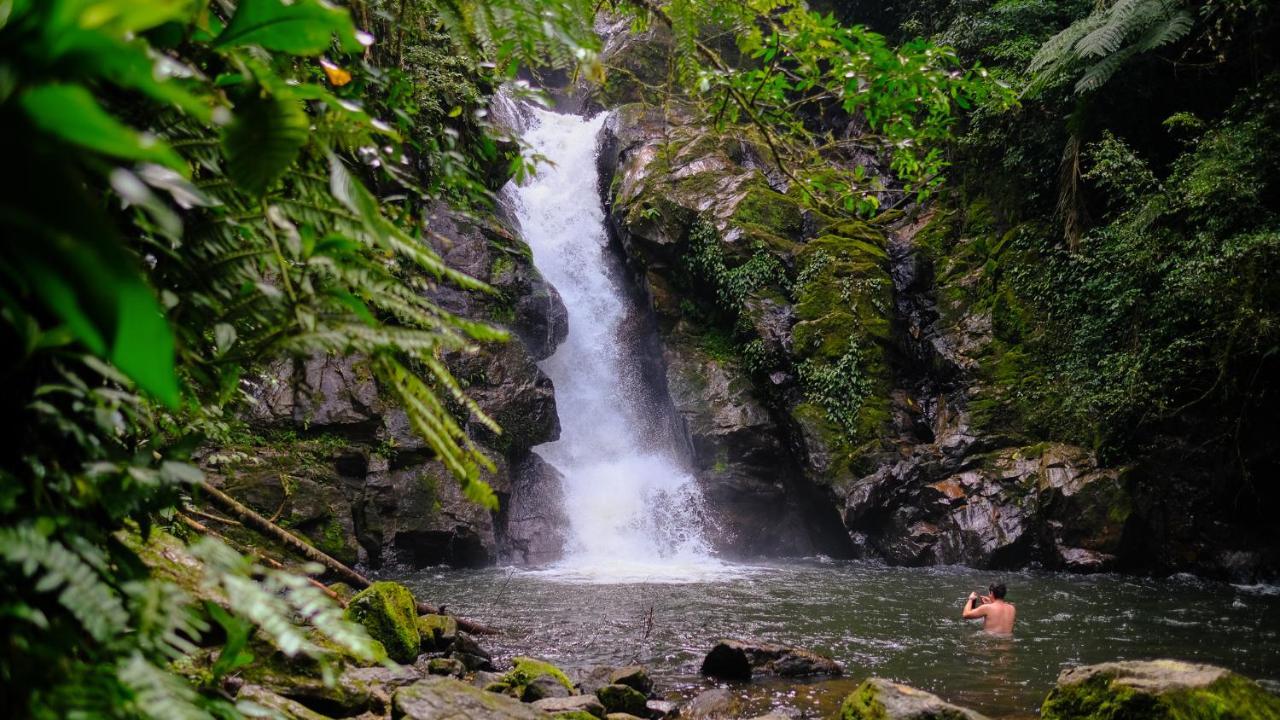 Pousada Salve Floresta Tapiraí Zewnętrze zdjęcie