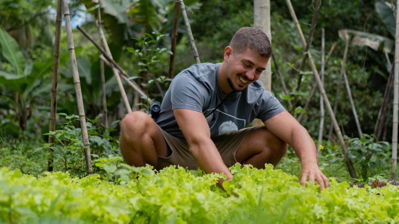 Pousada Salve Floresta Tapiraí Zewnętrze zdjęcie